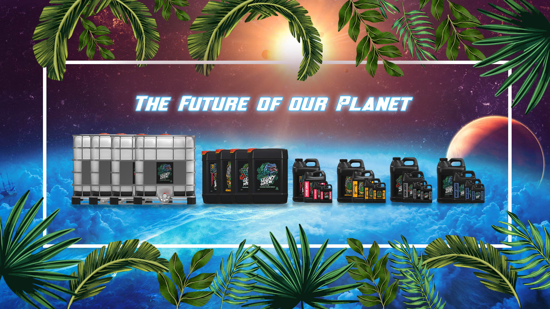 web-banner2